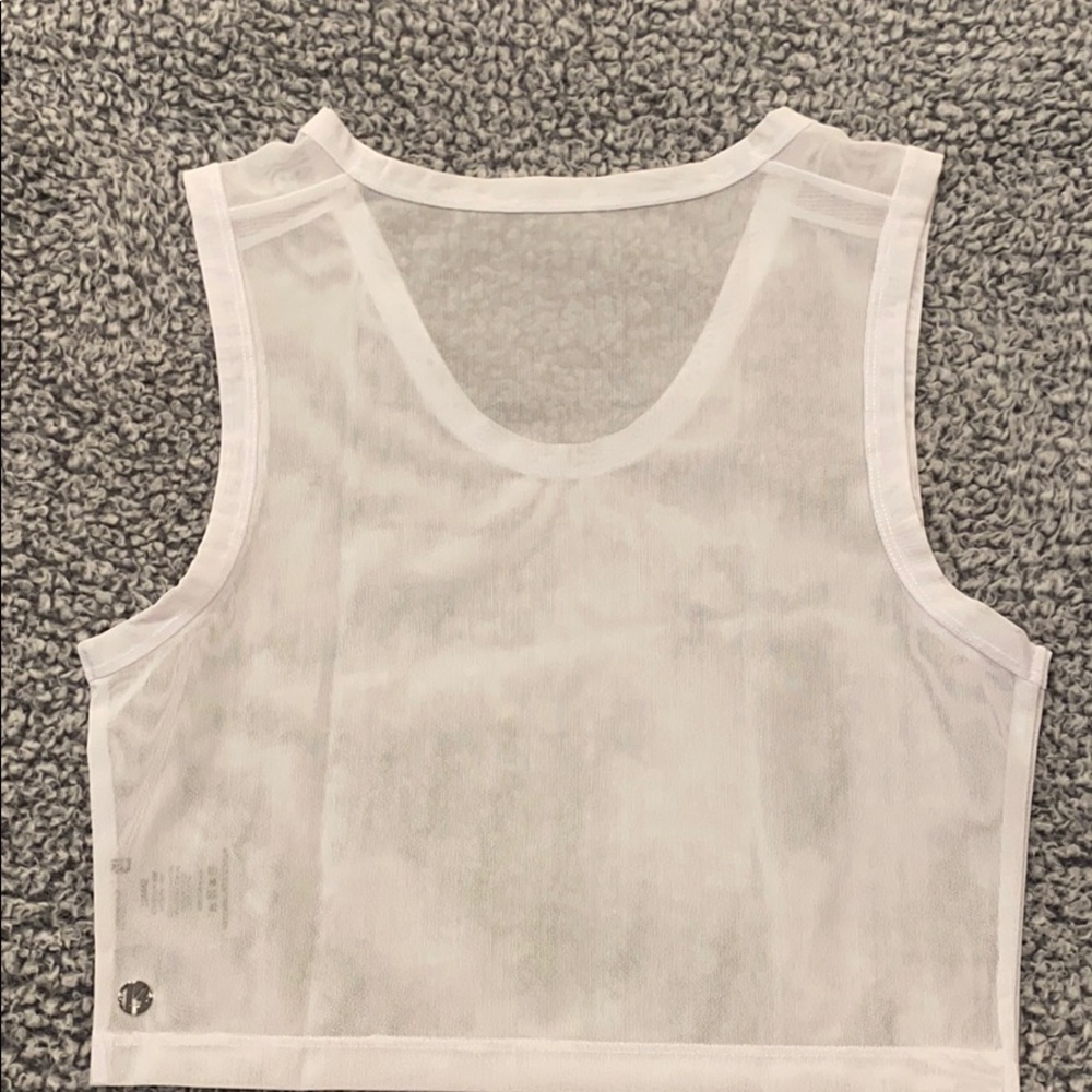 Buffbunny mesh crop top
